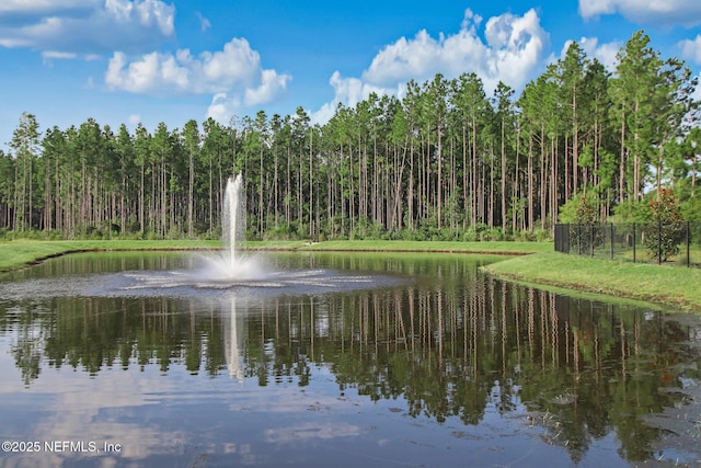 207 Hertford Bridge Way, Saint Johns, FL 32259 - water view featuring a forest