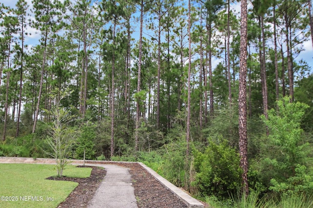 207 Hertford Bridge Way, Saint Johns, FL 32259 - view of home's community with a forest view