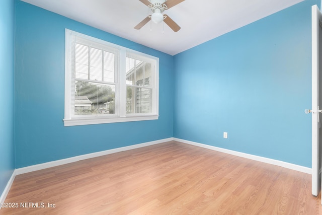 274 Ravine St, Jacksonville, FL 32206 - photo 14