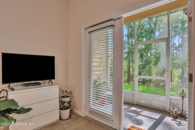 218 Larkin Pl Unit 101, Saint Johns, FL 32259 - doorway to outside with carpet floors and baseboards