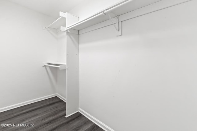 6202 Columbine Dr, Jacksonville, FL 32211 - spacious closet with dark wood-style floors