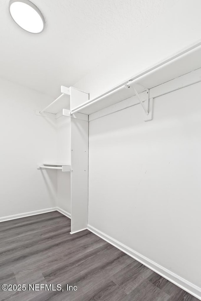 6202 Columbine Dr, Jacksonville, FL 32211 - spacious closet featuring dark wood-style floors