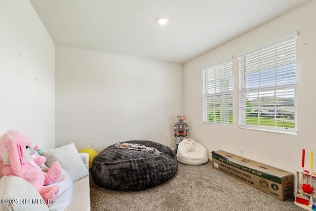 65490 Crested Heron Ct, Yulee, FL 32097 - rec room with carpet flooring