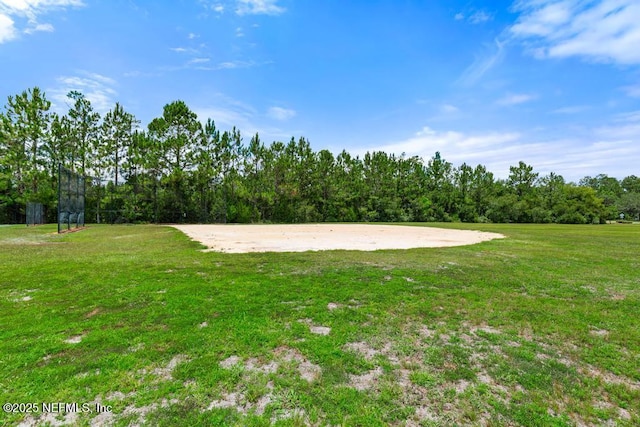 65490 Crested Heron Ct, Yulee, FL 32097 - view of green lawn