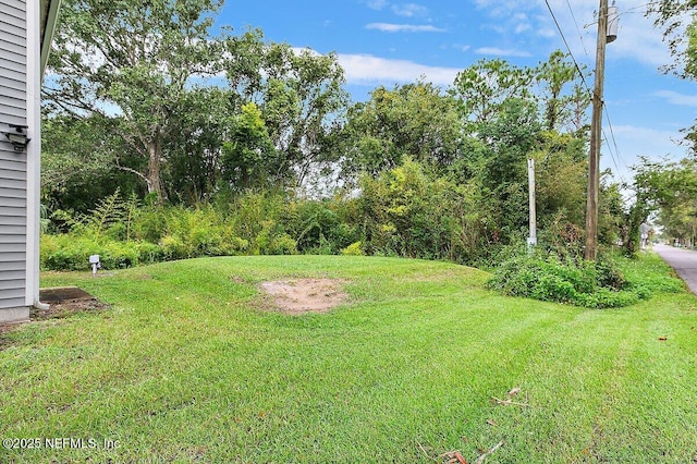 850 Bruen St, Saint Augustine, FL 32084 - view of grassy yard