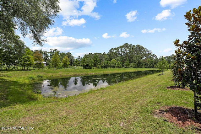608 Celtic Dr, Jacksonville, FL 32218 - photo 29