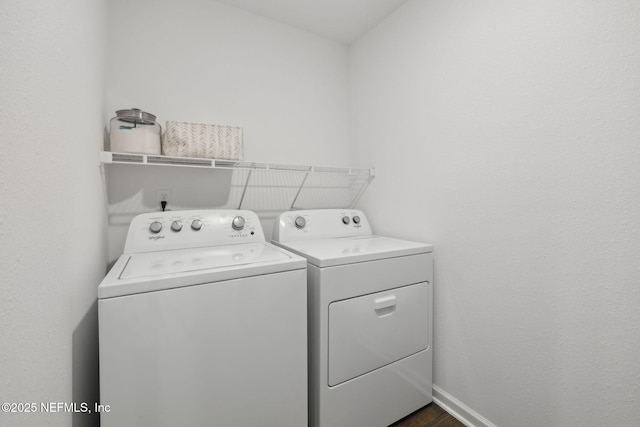 12672 European Beech Rd, Jacksonville, FL 32218 - photo 17
