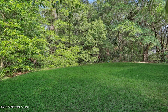 1525 Spearing St, Jacksonville, FL 32206 - photo 16