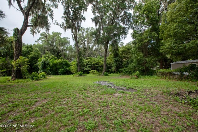 405 S County Road 21, Hawthorne, FL 32640 - photo 63