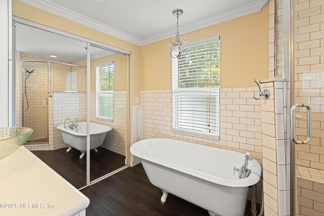 405 S County Road 21, Hawthorne, FL 32640 - photo 46