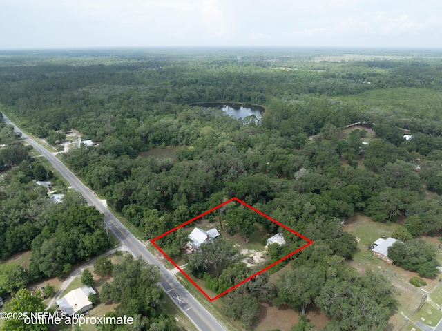 405 S County Road 21, Hawthorne, FL 32640 - photo 69
