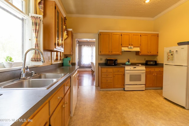 117 Dodge St, Palatka, FL 32177 - photo 25