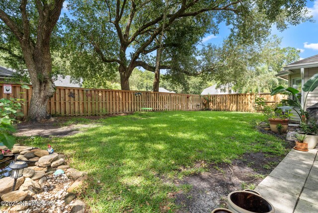 1049 Flora Parke Dr, Saint Johns, FL 32259 - photo 29