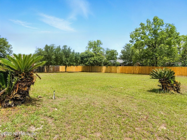 6615 Camelot Ct, Keystone Heights, FL 32656 - view of fenced backyard