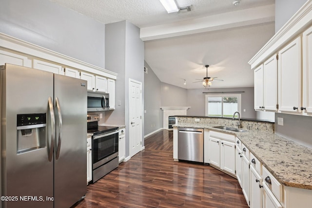 12551 Hunters Branch Way, Jacksonville, FL 32224 - kitchen featuring appliances with stainless steel finishes, a peninsula, lofted ceiling, a ceiling fan, and dark wood-type flooring