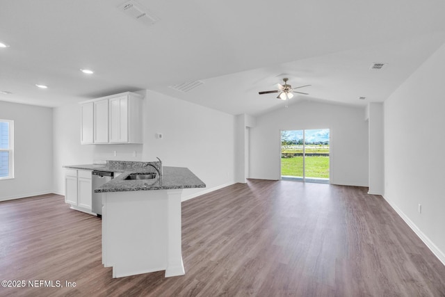 37119 Whippoorwill Ct, Hilliard, FL 32046 - kitchen with stainless steel dishwasher, dark stone counters, white cabinetry, wood finished floors, and open floor plan