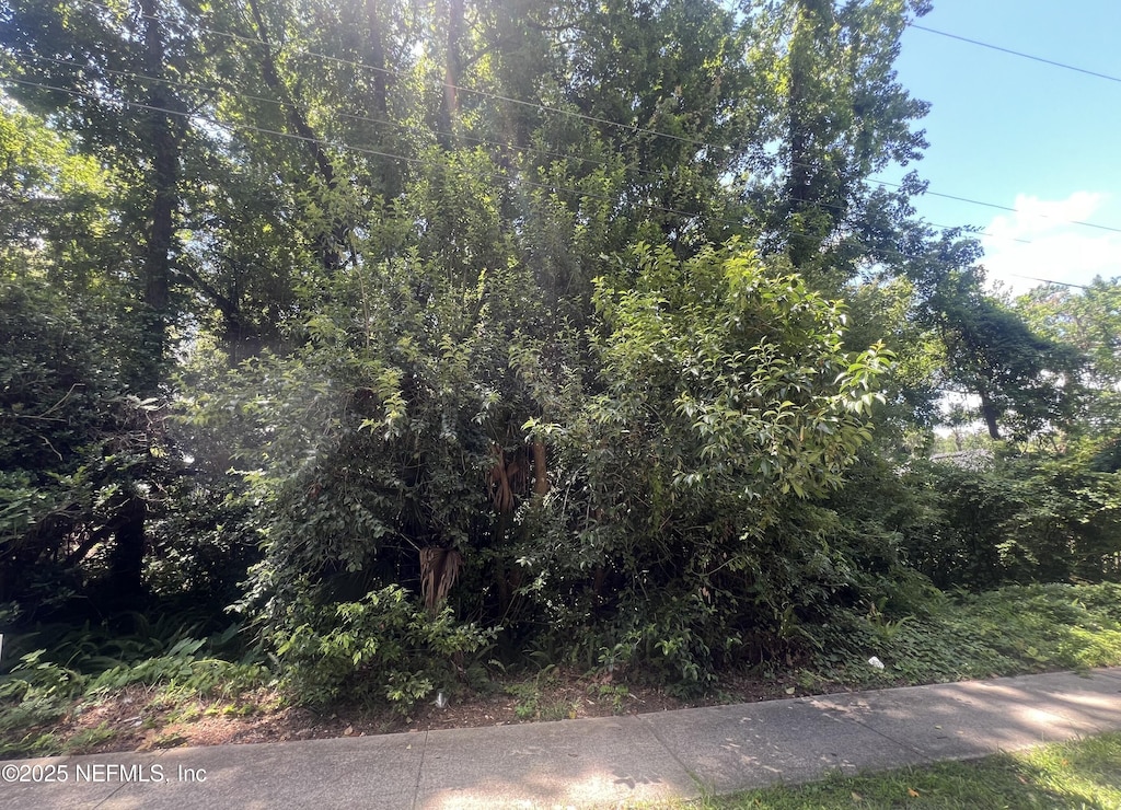 0 Crane Ave, Jacksonville, FL 32216 - photo 2