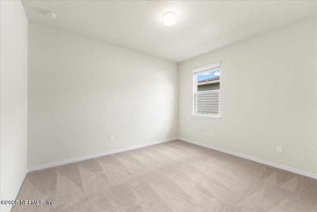 14598 Spring Light Cir, Jacksonville, FL 32226 - photo 21
