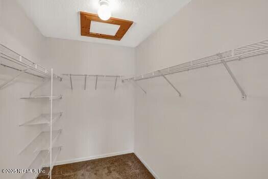 5260 Collins Rd Unit 802, Jacksonville, FL 32244 - photo 8