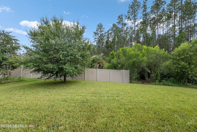 37 Tobago Ln, Saint Augustine, FL 32092 - view of yard