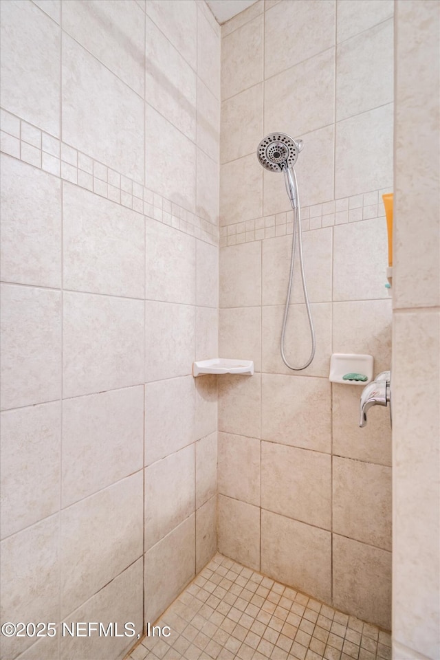 5 Bud Hollow Dr, Palm Coast, FL 32137 - full bathroom with tiled shower