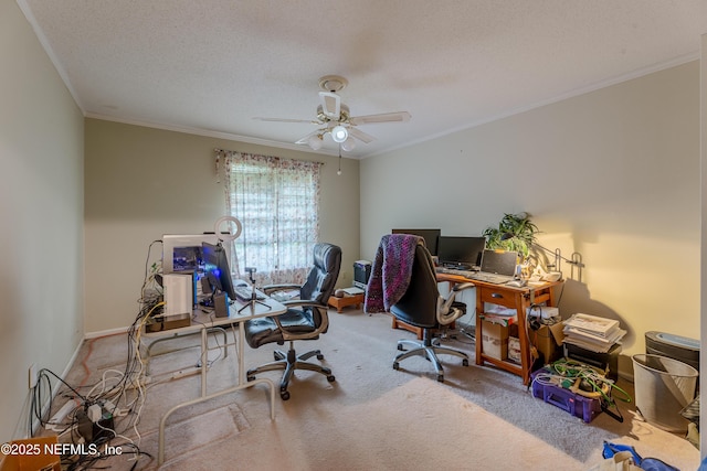 11879 Narrow Oak Ln S, Jacksonville, FL 32223 - photo 27
