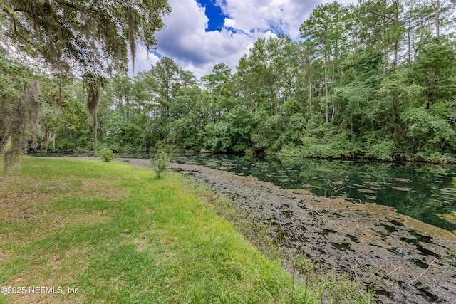 11879 Narrow Oak Ln S, Jacksonville, FL 32223 - photo 29