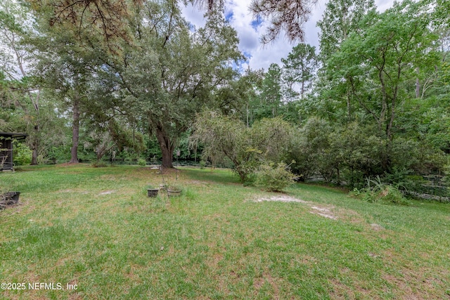 11879 Narrow Oak Ln S, Jacksonville, FL 32223 - photo 34