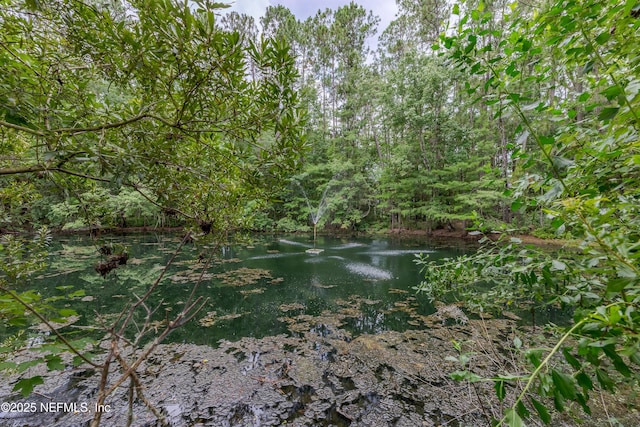 11879 Narrow Oak Ln S, Jacksonville, FL 32223 - photo 5