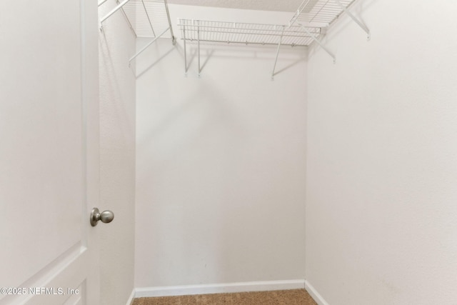 218 Larkin Pl Unit 110, Saint Johns, FL 32259 - spacious closet with carpet