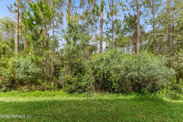218 Larkin Pl Unit 110, Saint Johns, FL 32259 - view of woods