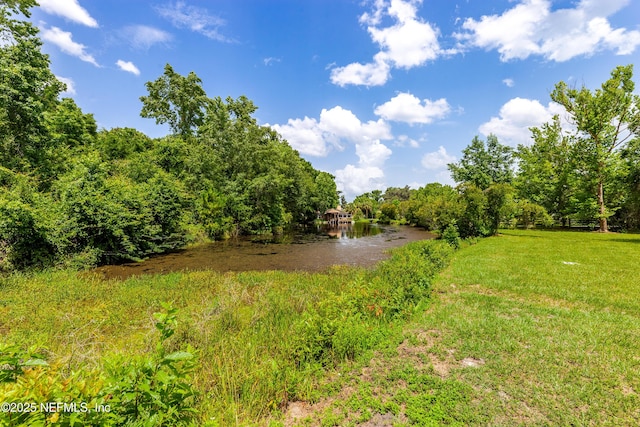 226 Six Pond Trl, Green Cove Springs, FL 32043 - view of yard featuring a water view