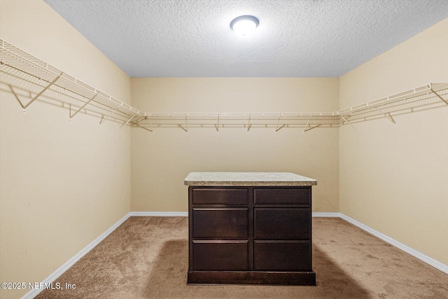 3728 W Florentine Dr, Citrus Springs, FL 34433 - spacious closet with light carpet