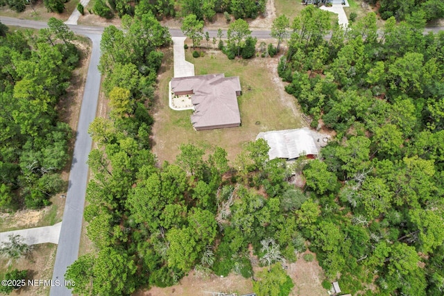3728 W Florentine Dr, Citrus Springs, FL 34433 - aerial overview of property's location