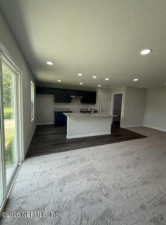 8045 Driggers St, Jacksonville, FL 32220 - unfurnished living room with plenty of natural light, dark colored carpet, recessed lighting, a textured ceiling, and dark wood-type flooring