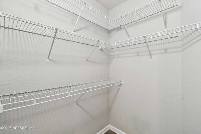 8550 Touchton Rd Unit 932, Jacksonville, FL 32216 - view of spacious closet