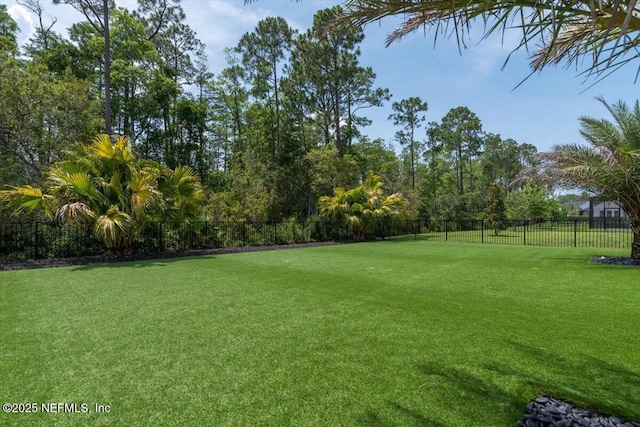 351 Palm Crst Dr, Ponte Vedra, FL 32081 - view of fenced backyard