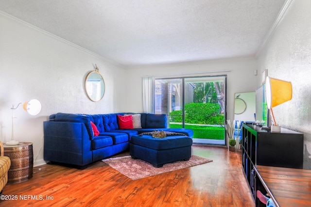 5811 Atlantic Blvd Unit 115, Jacksonville, FL 32207 - living area featuring wood finished floors, ornamental molding, a textured wall, and a textured ceiling