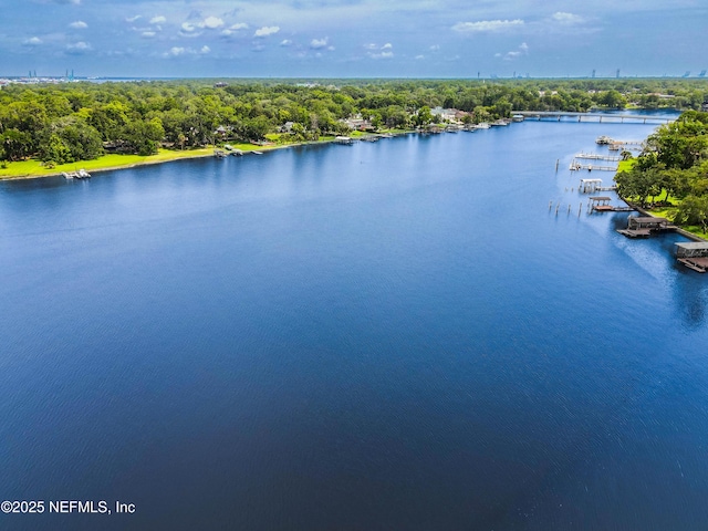5811 Atlantic Blvd Unit 115, Jacksonville, FL 32207 - aerial view of a large body of water