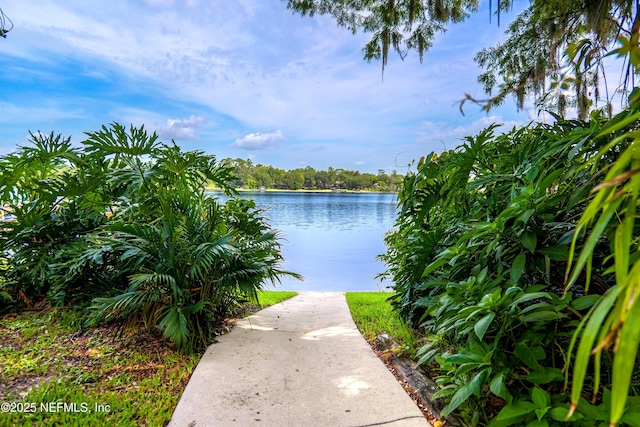 5811 Atlantic Blvd Unit 115, Jacksonville, FL 32207 - water view