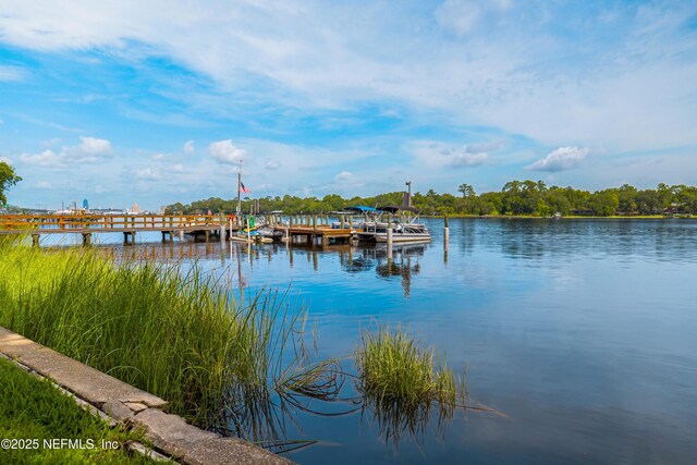 5811 Atlantic Blvd Unit 115, Jacksonville, FL 32207 - dock featuring a water view
