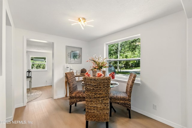 3530 Shadow St, Jacksonville, FL 32254 - photo 6