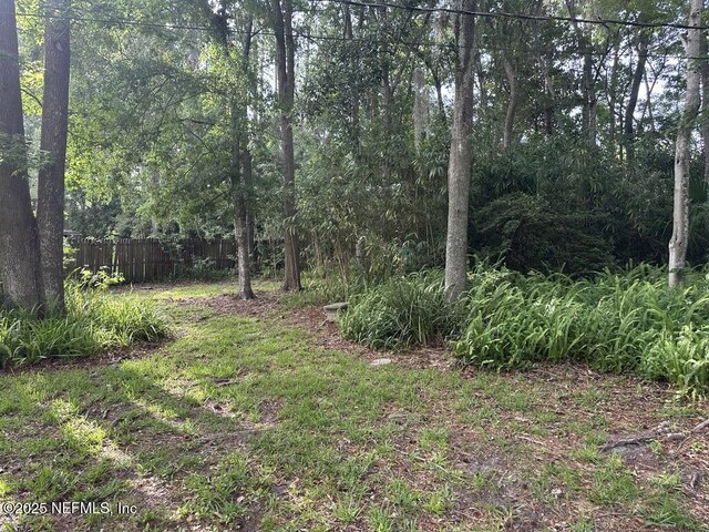 545 Ash St, Orange Park, FL 32073 - photo 12