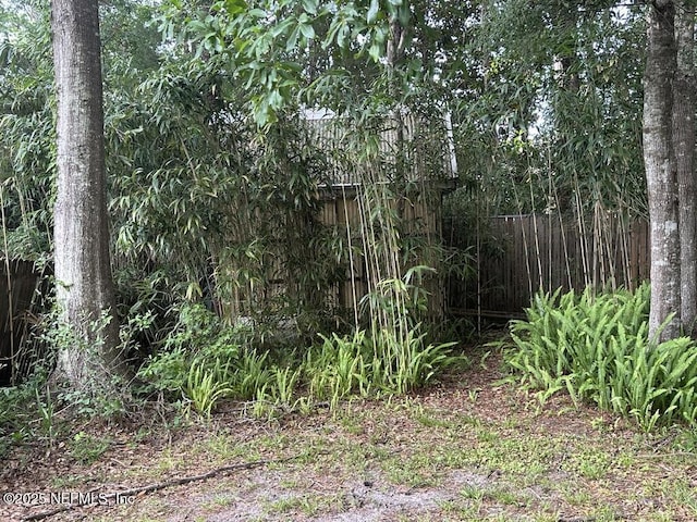 545 Ash St, Orange Park, FL 32073 - photo 14