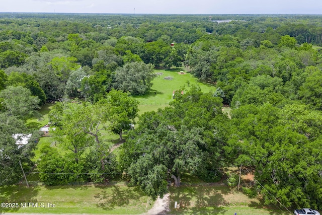 85215 Airplane Ln, Yulee, FL 32097 - bird's eye view of a heavily wooded area
