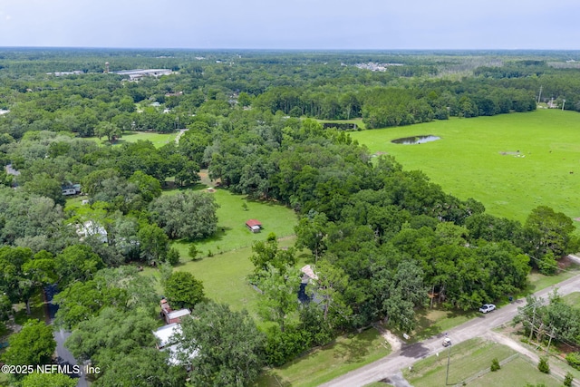 85215 Airplane Ln, Yulee, FL 32097 - drone / aerial view of a forest and a large body of water
