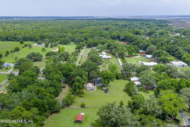 85215 Airplane Ln, Yulee, FL 32097 - bird's eye view of a forest