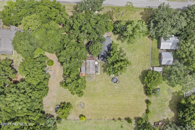 85215 Airplane Ln, Yulee, FL 32097 - bird's eye view