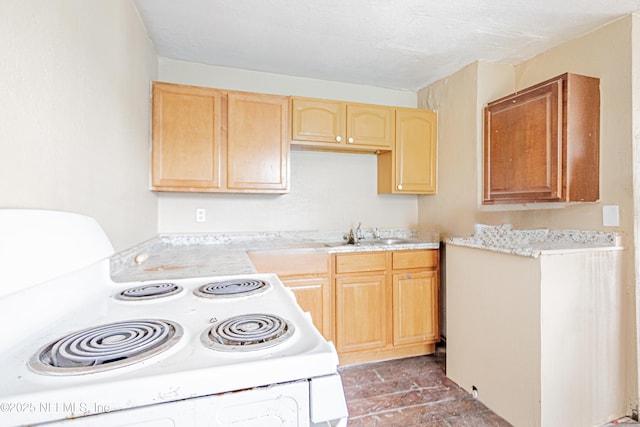 1023 Franklin St, Jacksonville, FL 32206 - photo 6