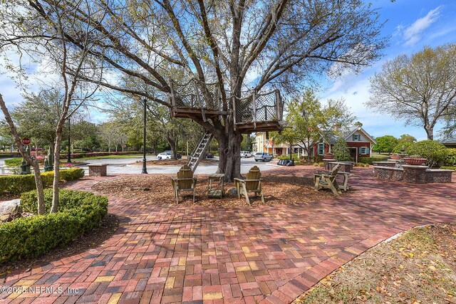 4431 Vista Point Ln, Orange Park, FL 32065 - view of patio